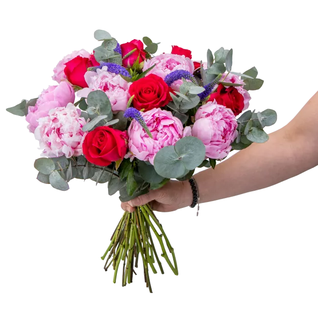 Flowers of peonies